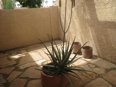 Court Yard