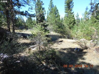 0 Gardner Ranch Ln, Canyon City, OR 97820 - photo 6