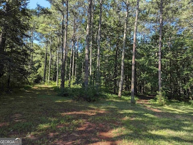 LOT 3 Joe Roberts Rd, Newnan, GA 30263 - photo 6