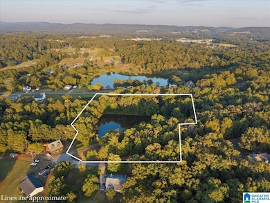 #0 Shady Point Rd, Locust Fork, AL 35097 - photo 5