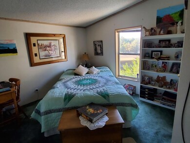 Back bedroom