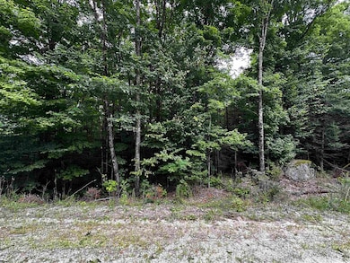 62 Patterson Rd, Wilmot, NH 03287 - photo 3