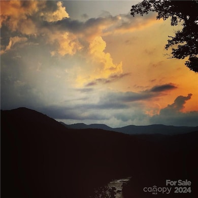 4110 French Broad Pkwy unit 55, 5, Walnut, NC 28753 - photo 6