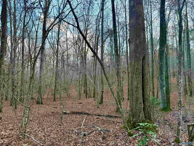 3 County Road 137 unit 504549, Cedar Bluff, AL 35959 - photo 7