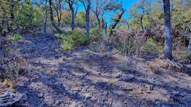 Lot 18 Scenic Hill Dr, Bowie, TX 76230 - photo 3