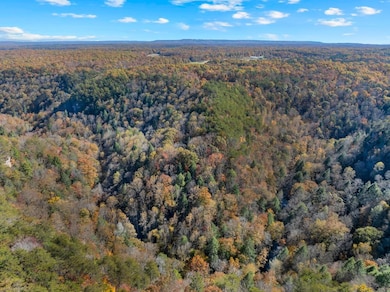 12970 Sr-56, Altamont, TN 37301 - photo 3