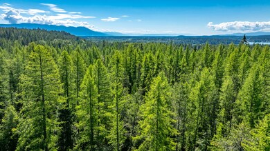 Nhn Big Mountain Rd, Whitefish, MT 59937 - photo 5