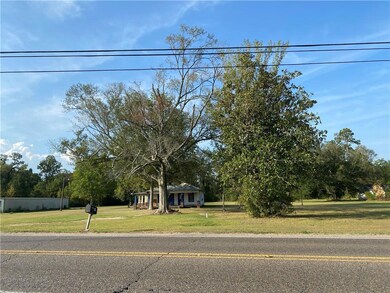 27218 Hwy 42 Hwy, Springfield, LA 70462 - photo 2