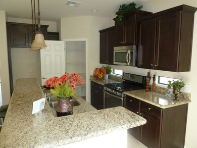 Slab granite kitchen counters w/ pantry