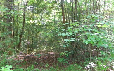 Additional View