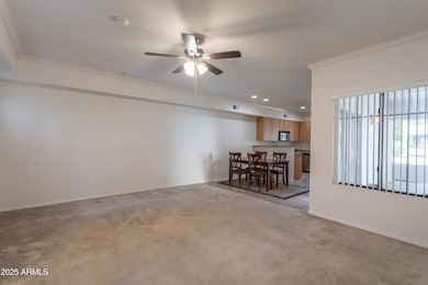 3V6A0619