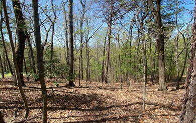 0 Mountain View Ct unit 315601, Ellijay, GA 30536 - photo 2