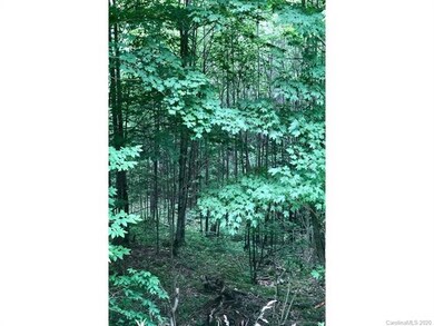 10 Mountain Gait Dr unit 8 & 10, Mars Hill, NC 28754 - photo 3