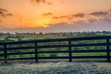 14762 Childress Ranch Dr, Washington, TX 77880 - photo 6