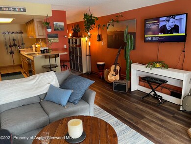 1211 Vine St unit 1211, Aspen, CO 81611 - photo 4