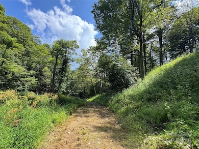 TBD Wyeth Dr unit 11, Blowing Rock, NC 28605 - photo 6