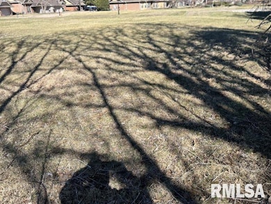 238 12th Ave, Moline, IL 61265 - photo 5