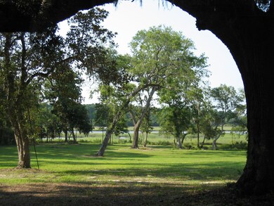 View from Live Oak