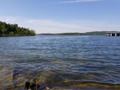 Tbd Lot 40 Summer Rd, Ruth B Rural Township, MO 65686 - photo 3