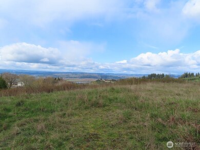 903 Confer Rd, Kalama, WA 98625 - photo 6