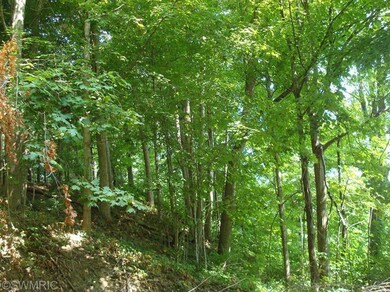 3480 Sampson Rd, Camden, MI 49232 - photo 3