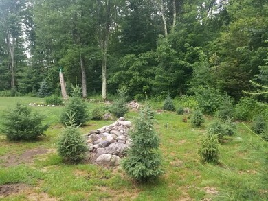 N9463 Cth T, Tripoli, WI 54564 - photo 3