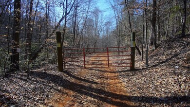 0 Vannoy Ridge Rd unit LotWP001 19604817, Brushy Mountain, NC 28654 - photo 6