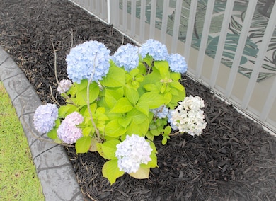 683 Yellow Leaf Ln, Summerville, SC 29486 - photo 7