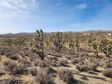0000 N Tamarisk & Rainbow, Meadview, AZ 86444 - photo 7
