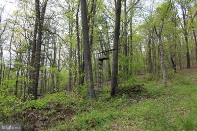 0 Chestnut Run Ln unit VARP107578, Sperryville, VA 22740 - photo 5