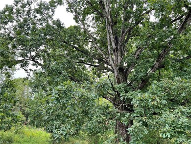 0 S Denmark Rd, Jefferson, OH 44047 - photo 6