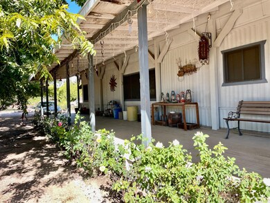 Rose bushes Pecan Trees