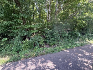 View of tree filled area