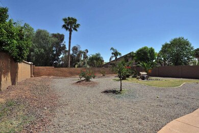 Backyard 2