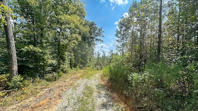 0 Jeanette Holladay Rd, Parsons, TN 38363 - photo 5