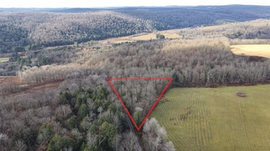 3655 Jordan Rd, Cincinnatus, NY 13040 - photo 3