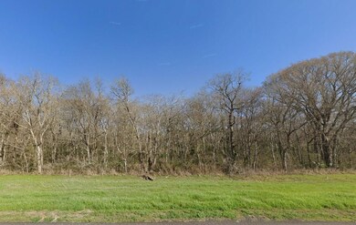 Coushatta Dr, Navasota, TX 77868 - photo 4