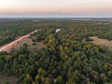 Bird's eye view of a forest