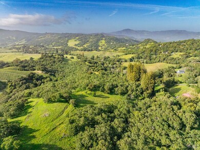 Elevated site with vineyards and hillside views.