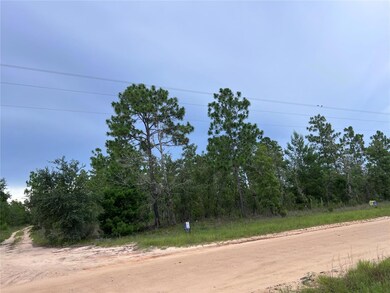 2104 Main St, Hawthorne, FL 32640 - photo 4