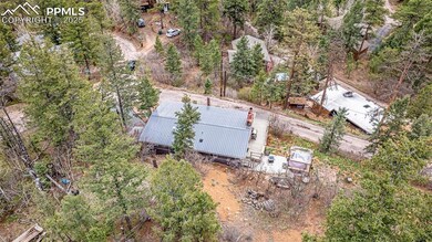 9515 Mountain Rd, Cascade, CO 80809 - photo 5
