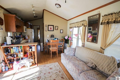 250 Captain Morgan Rd unit 242 Captain Morgan R, Hardin, KY 42048 - photo 4