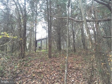 0 Ellisville Dr unit 1000546189, Louisa, VA 23093 - photo 2