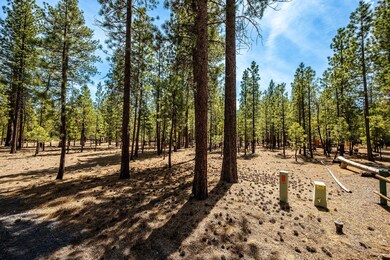 12-web-or-mls-4-28-25 51864 Applewood Wa