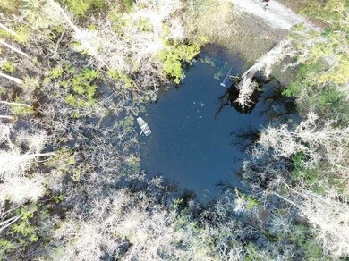 0 Harley Davidson Ln unit 304344, Crawfordville, FL 32327 - photo 6