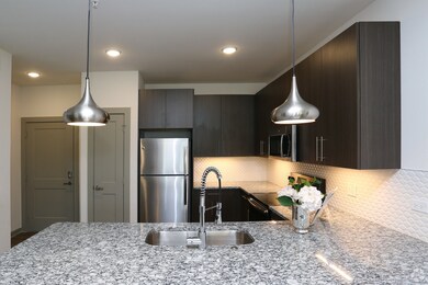 700 E Algonquin Rd unit 2412, Schaumburg, IL 60173 - photo 4