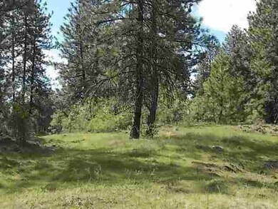0 N Old Trails Rd unit 201317106, Spokane, WA 99224 - photo 5