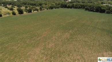 TBD Montgomery Ln, Moody, TX 76557 - photo 4