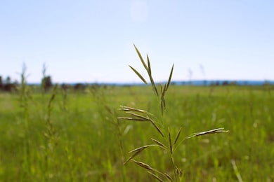 0 Rd, Moorcroft, WY 82721 - photo 3