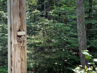 0 Halls Brook Rd unit 29, East Hebron, NH 03241 - photo 5